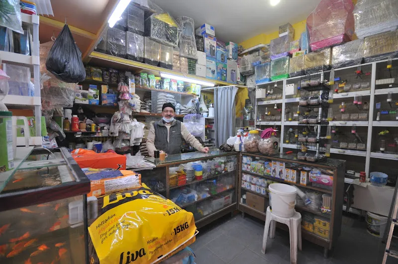 Amazon Kuş Akvaryum Galerisi foto 2
