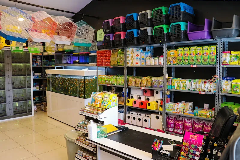 Komşu petshop foto 2