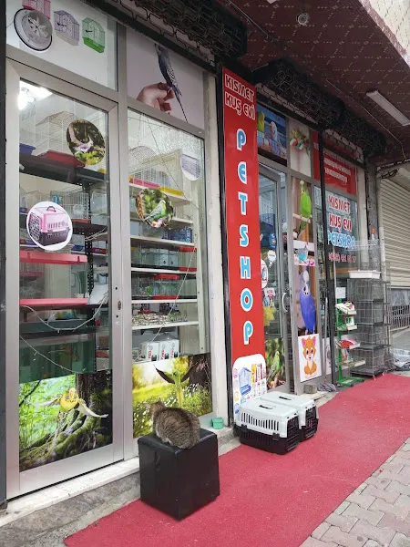 Kısmet kuş evi petshop foto 1