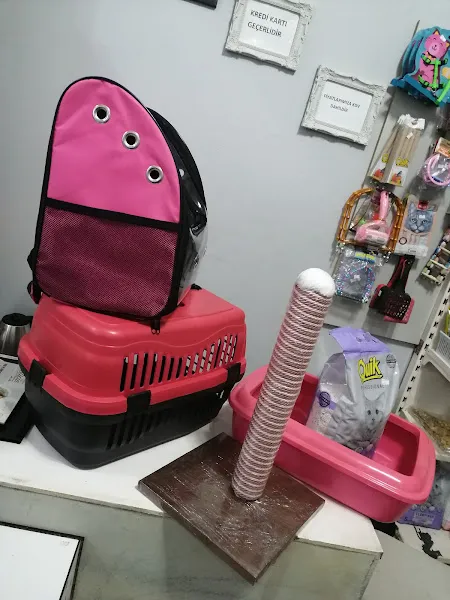 Kısmet kuş evi petshop foto 2