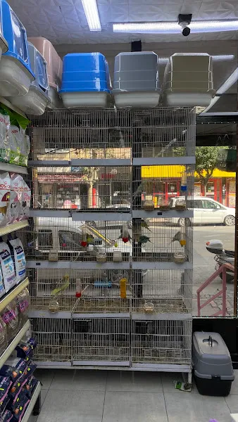 Onur Petshop foto 2