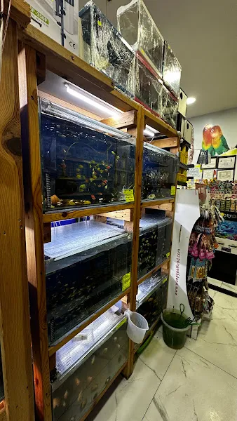 Kayaşehir Petshop foto 2