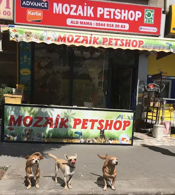 Mozaik Petshop