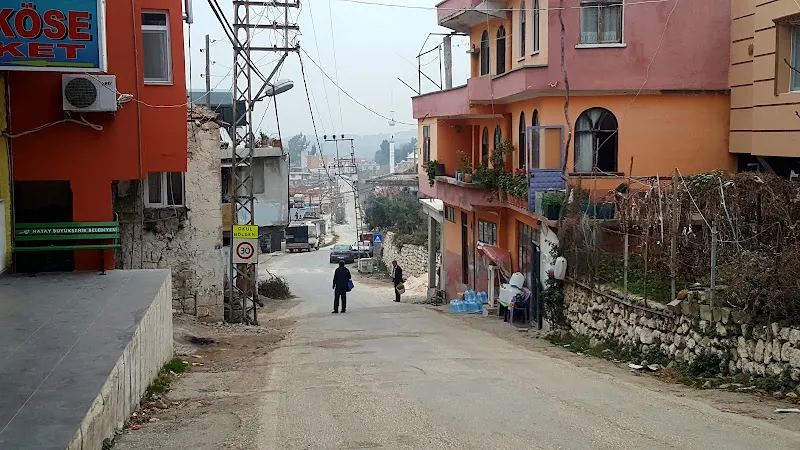 Pan - Vet Veteriner Kliniği foto 2