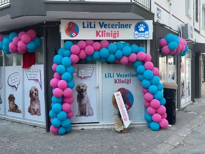 LİLİ VETERİNER KLİNİĞİ