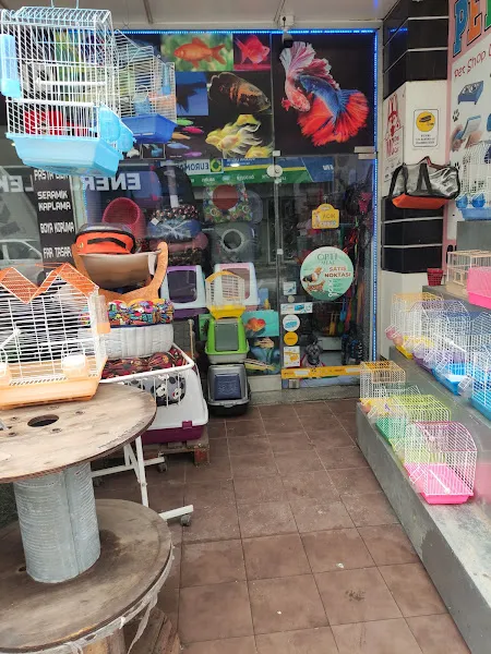 Kuş ve Su Dünyası Pet Shop Market foto 2