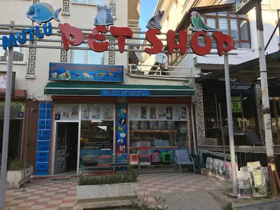 Mutlu akvaryum petshop
