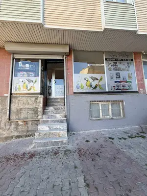 AYİS PETSHOP