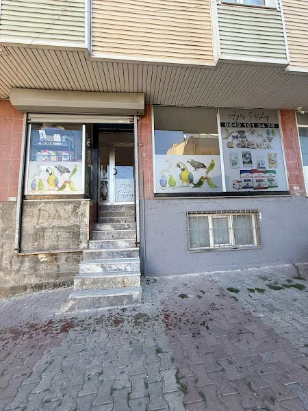 AYİS PETSHOP foto 1