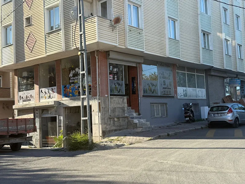 AYİS PETSHOP foto 2