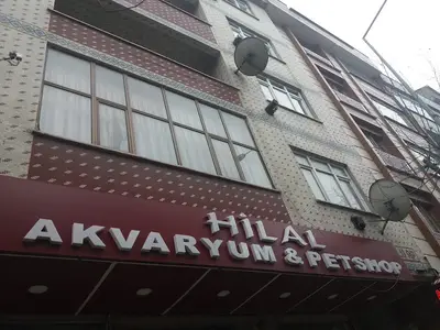 Avcı akvaryum pet shop