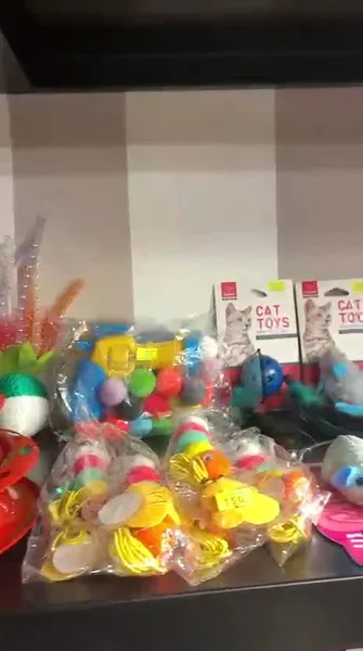 BoBi Petshop foto 2