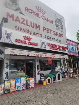 Mazlum Pet Shop