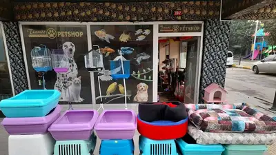 tiamöö petshop
