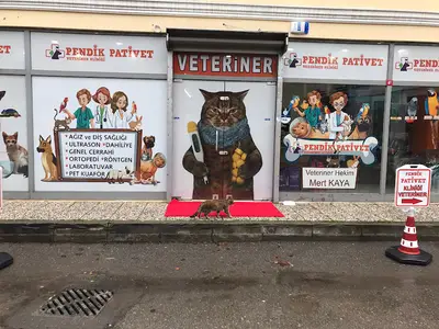 PENDİK PATİVET VETERİNER KLİNİĞİ