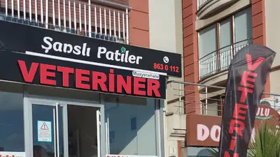 ŞANSLI PATİLER VETERİNER KLİNİĞİ