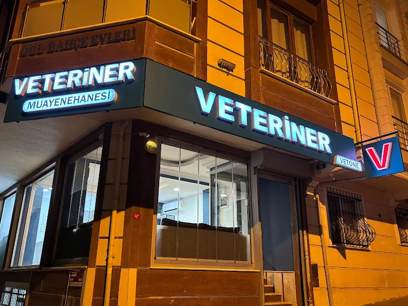 ATACAT 7/24 VETERİNER POLİKLİNİĞİ Atakent Halkalı Küçükçekmece Acil Veteriner Vetone Veteriner foto 2