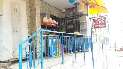 Yıldırım Pet Shop Akvaryum