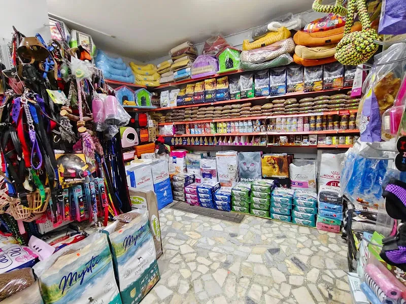 Yıldırım Pet Shop Akvaryum foto 2