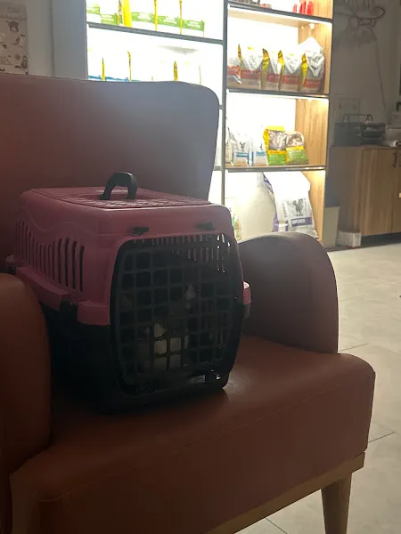 Büyükdere Veteriner Kliniği foto 2