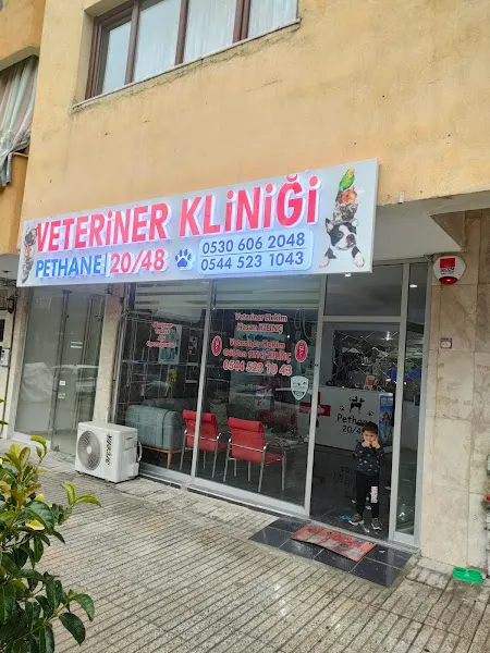 Denizli pethane 20/48 veteriner kliniği foto 1