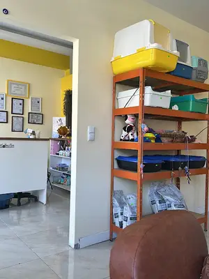 Hazal Veteriner Kliniği