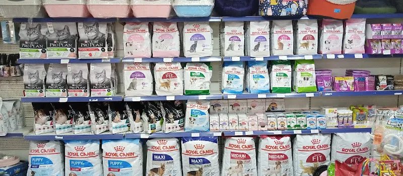Pet Beykoz foto 2