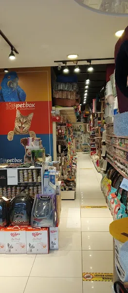 Petbox Cadde foto 2