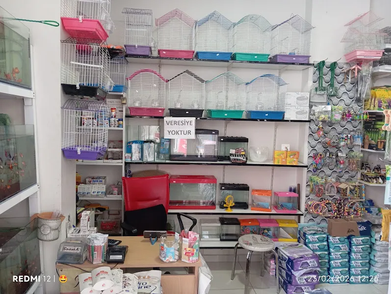 Özgür Petshop foto 2