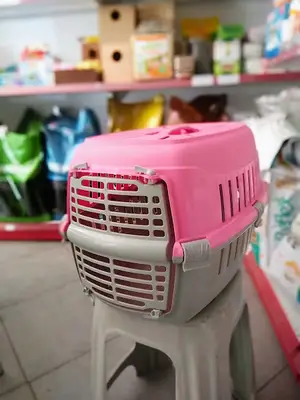 İncilipınar petshop