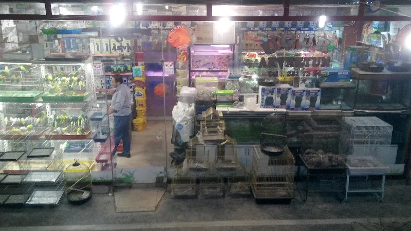 Uğur Akvaryum foto 2