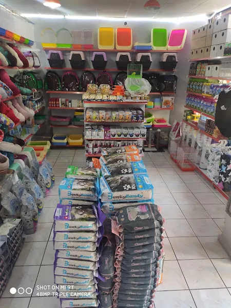 Cici Petshop foto 2