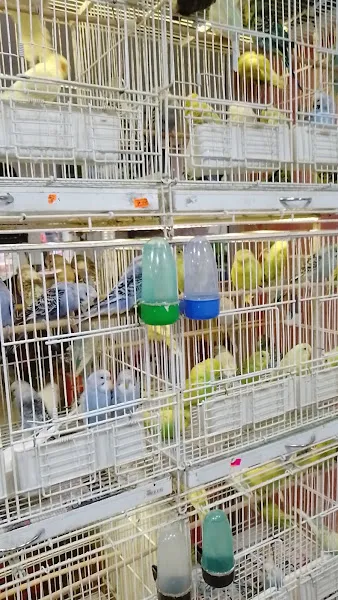 Mavi Dünya Akvaryum foto 2