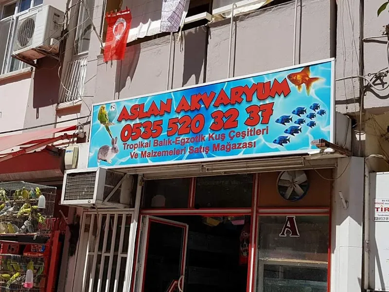 Amanos Akvaryum foto 1