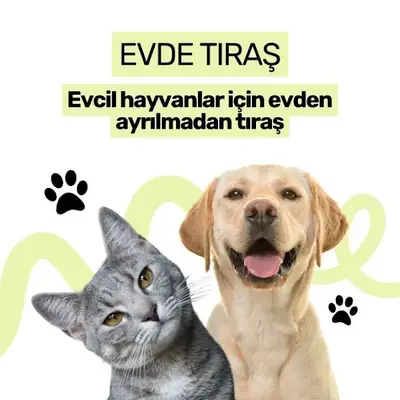 Antalya Evde Pet Kuaför