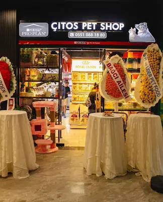 Çitos Pet Shop Rüya 48 AVM