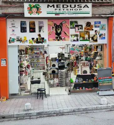 samsun pethouse petshop samsun akvaryum
