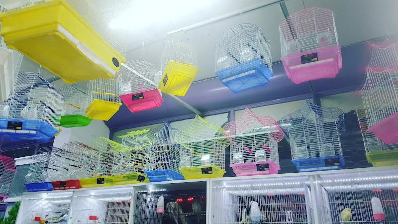 Caner ZİHNİ Pet Shop foto 2