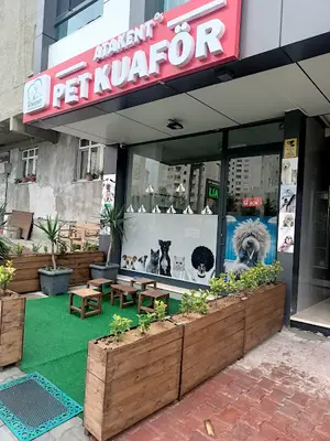 İstanbul Pet Kuaför ATAKENT PET KUAFÖR - İstanbul Anestezisiz Kedi Tıraşı - İstanbul Köpek Tıraşı