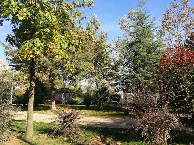 Ataşehir Köpek Parkı