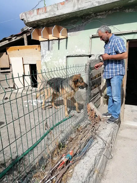 YAŞAM VETERİNER KLİNİĞİ foto 2