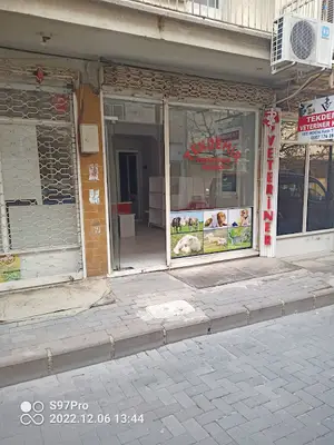 UŞAK Tekdemir Veteriner Kliniği