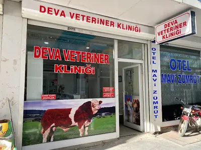 VAN DEVA VETERİNER KLİNİĞİ