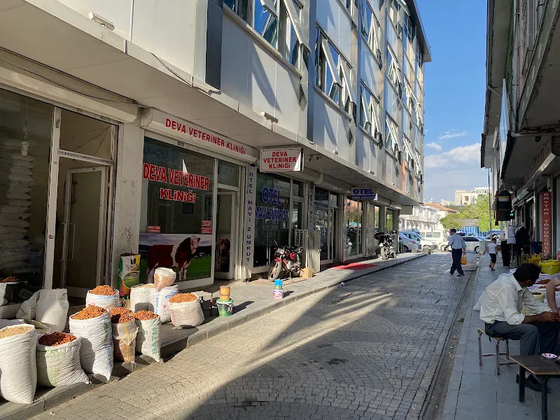 VAN DEVA VETERİNER KLİNİĞİ foto 2
