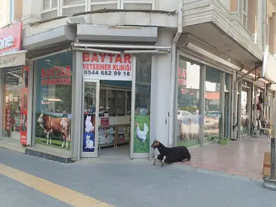 Baytar veteriner kliniği van
