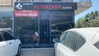 Emine erkan