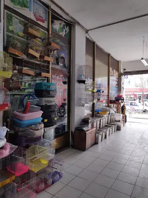 ETİMESGUT PETSHOP AKVARYUMCU KEDİ KUŞ MAMA