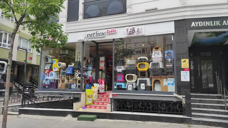 Petbox Beşiktaş foto 1