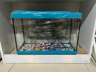 Green Pet Shop