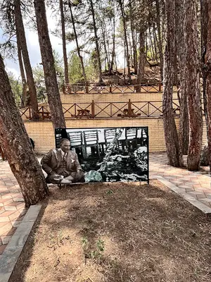 Atatürk Çamı